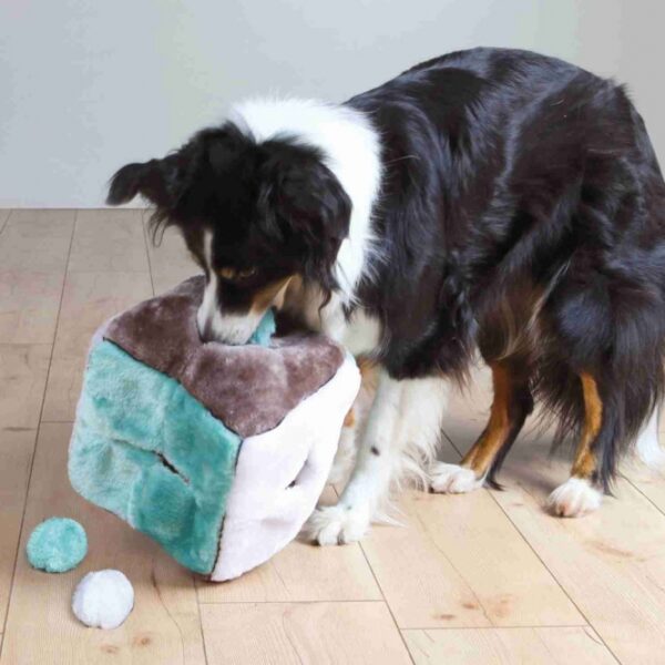 Der Plüschwürfel für Hunde ist das ideale Spielzeug für stundenlangen Spielspaß und fördert die geistige und körperliche Aktivität Ihres Vierbeiners. Mit den im Inneren versteckten Plüschbällen wird Ihr Hund immer wieder zum Spielen angeregt. Um das Interesse Ihres Hundes neu zu wecken, können Sie den Würfel auch mit anderen Spielzeugen oder Leckereien füllen. Der hochwertige Plüschwürfel hat Öffnungen an allen vier Seiten und oben, durch die Ihr Hund die Bälle oder andere Gegenstände herausziehen kann. Im Lieferumfang sind vier weiche Bälle mit Squeekern enthalten, die zusätzlichen Spielspaß bieten. Mit den kompakten Maßen von ca. 21 x 21 x 21 cm und einem Durchmesser der Bälle von ca. 6 cm passt der Würfel perfekt in jedes Zuhause. Erhältlich in verschiedenen Farben, wobei die Auswahl je nach Lagerbestand erfolgt. Holen Sie sich jetzt diesen tollen Plüschwürfel und bieten Sie Ihrem Hund ein unterhaltsames und interaktives Spielerlebnis!