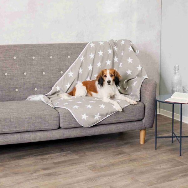 Entdecken Sie unseren hochwertigen Polsterbezug in stilvoller Canvas-Optik und kuscheligem Plüsch, gefertigt aus einer hochwertigen Polyester-Baumwoll-Mischung. Dieser Bezug schützt Ihre Möbel effektiv vor Schmutz und Tierhaaren und ist besonders für Allergiker geeignet. Bei einer Waschtemperatur von 60 °C werden Hausstaubmilben abgetötet, was zu einer besseren Entfernung von Hautschuppen und Pollen beiträgt. Mit einer großzügigen Größe von ca. 150 x 100 cm und der eleganten Farbgebung in taupe und weiß ist dieser Bezug nicht nur funktional, sondern auch ein echter Hingucker in jedem Raum. Machen Sie Ihr Zuhause gemütlicher und gesünder mit unserem vielseitigen Polsterbezug!
