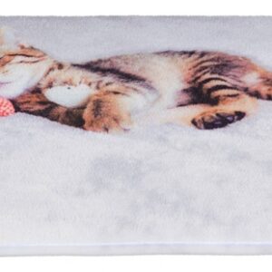 Dieses gemütliche Katzenbett ist perfekt für kleine Katzen und bietet ultimativen Komfort. Der weiche Plüsch-Bezug sorgt für ein angenehmes Liegegefühl, während die dünne Schaumstoff-Füllung für eine optimale Unterstützung sorgt. Mit seinem rutschfesten Boden bleibt das Bett an Ort und Stelle, egal wie aktiv Ihre Katze ist. Die kompakten Maße von 40 × 30 cm und die ansprechende graue Farbe machen es zu einer stilvollen Ergänzung für jedes Zuhause. Gönnen Sie Ihrer Katze den besten Schlafplatz mit diesem hochwertigen und günstigen Katzenbett!