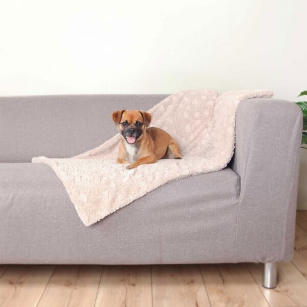 Entdecken Sie unseren hochwertigen Struktur-Softplüsch aus Polyester, der besonders weich und kuschelig ist. Dieser vielseitige Bezug schützt Ihre Polster effektiv vor Schmutz und Tierhaaren, was ihn ideal für Haushalte mit Haustieren macht. Zudem ist er perfekt für Allergiker geeignet: Die hohe Waschtemperatur von 60 °C tötet Hausstaubmilben ab und sorgt für eine gründliche Entfernung von Hautschuppen und Pollen. In einem eleganten Beige und mit einer praktischen Größe von ca. 100 x 70 cm ist dieser Bezug nicht nur funktional, sondern auch ein stilvolles Element in Ihrem Zuhause. Genießen Sie den Komfort und die hohe Qualität, die dieser Softplüschbezug bietet!