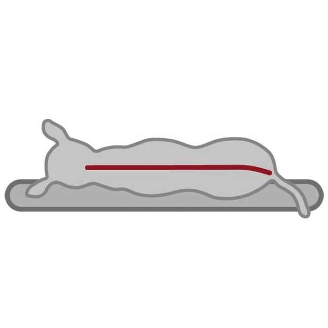Die Hundekönig Vital Liegematte ist die perfekte Schlafunterlage für Ihren Hund. Sie besteht aus hochwertigem viscoelastischem Schaumstoff mit einer Dicke von ca. 3 cm, der sich ideal an die Körperform Ihres Hundes anpasst und eine optimale Druckverteilung gewährleistet. Dank des Memory-Effekts kehrt die Liegefläche immer wieder in ihre ursprüngliche Form zurück, was besonders älteren und körperlich beeinträchtigten Tieren zugutekommt. Der kuschelige Softplüsch-Bezug mit stilvollem Hundekönig-Motiv und edler Satin-Paspel sorgt für zusätzlichen Komfort und eine ansprechende Optik. Zudem ist der Bezug bei 30°C waschbar, während das Inlett einfach von Hand gereinigt werden kann. Diese Liegematte in der eleganten Farbe creme hat die Maße von ca. 75 x 55 cm und ist ein unverzichtbares Accessoire für jeden Hundebesitzer, der Wert auf Qualität und Komfort legt.