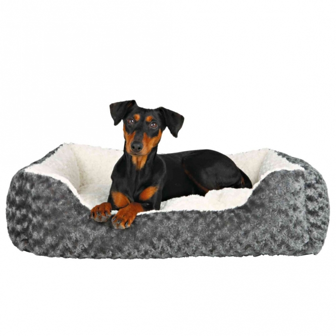 Dieser elegante Struktur-Softplüsch-Kissenbezug mit hochwertigem Polyester-Bezug und weicher Polyestervlies-Füllung sorgt für höchsten Komfort und eine stilvolle Ergänzung in Ihrem Zuhause. Das praktische Wendekissen in ansprechenden Grau- und Creme-Tönen lässt sich mühelos in jede Einrichtung integrieren. Dank der abnehmbaren Bezüge, die bei 30°C waschbar sind, bleibt Ihr Kissen immer frisch und sauber. Der rutschfeste Boden sorgt zudem für Stabilität, während das Inlett einfach von Hand gewaschen werden kann. Mit den kompakten Maßen von ca. 50 x 40 cm ist dieses Kissen ideal für Sofa, Sessel oder Bett und bietet Ihnen eine bequeme Unterstützung, wo immer Sie sie brauchen. Entdecken Sie die perfekte Kombination aus Funktionalität und Stil!