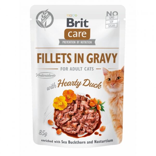 Entdecken Sie die Brit Care Cat Pouch Filets in Soße mit herzhafter Ente, ein hochwertiges Superpremium-Nassfutter für ausgewachsene Katzen. Diese getreidefreie Rezeptur enthält 85% Fleischanteil, darunter 62% Huhn, 15% Leber und 8% Ente, und ist zusätzlich mit wertvollem Sanddorn und Kapuzinerkresse angereichert. Ideal als Alleinfutter oder als schmackhafte Ergänzung zum Trockenfutter, sorgt es für abwechslungsreiche Mahlzeiten und unvergleichlichen Geschmack. Die natürlichen Antioxidantien, wie Rosmarin-Extrakt, unterstützen die Gesundheit Ihrer Katze. Mit einer hohen Feuchtigkeit von 82% und wichtigen Nährstoffen wie Taurin und Vitaminen ist dieses Futter nicht nur lecker, sondern auch gesund. Achten Sie darauf, stets frisches Wasser bereitzustellen und das Futter bei Raumtemperatur zu servieren. Brit Care Cat Pouch ist die beste Wahl für eine ausgewogene Ernährung Ihrer Katze!