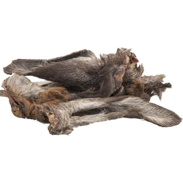 Getrocknete Hirschohren sind der ideale Kauartikel für große und sehr große Hunde, die robuste Snacks benötigen. Diese hochwertigen Hirschohren mit Fell sind auch perfekt für sensible Hunde und Allergiker geeignet. Mit einem hohen Rohproteinanteil von 56,4% und einem Fettgehalt von 28,2% bieten sie nicht nur einen schmackhaften, sondern auch nahrhaften Genuss. Die enthaltenen Inhaltsstoffe sind natürlich und fördern die Zahngesundheit Ihres Vierbeiners. Als Belohnungssnack sind sie die beste Wahl für eine artgerechte Fütterung. Denken Sie daran, Ihrem Hund immer ausreichend frisches Wasser zur Verfügung zu stellen, um ihm ein rundum gutes Kau-Erlebnis zu bieten.
