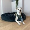 Das D&D Hundespielzeug Milan ist das perfekte Spielzeug für Ihren vierbeinigen Freund. Hergestellt aus robustem TPR-Gummi und in trendigen Farben erhältlich, bietet es nicht nur eine hohe Qualität, sondern auch eine Kombination aus Langlebigkeit und Spaß. Das integrierte Baumwollseil, das zu 100% aus Baumwolle besteht und frei von Polyester ist, sorgt für ein angenehmes Kauvergnügen und pflegt die Zähne und das Zahnfleisch Ihres Hundes. Mit seiner einzigartigen dreieckigen Form eignet sich dieses Hundespielzeug ideal für Apportier- und Zerrspiele, die stundenlangen Spielspaß garantieren. Die kompakten Maße von 16,5 x 15 x 5 cm machen es zum perfekten Begleiter für unterwegs. Investieren Sie in das D&D Hundespielzeug Milan und bieten Sie Ihrem Hund ein sicheres und unterhaltsames Spielerlebnis!