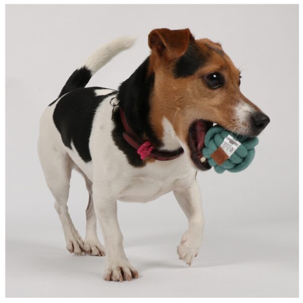 Das Hundespielzeug Skip ist der ideale Knotenball für Ihren vierbeinigen Freund. Hergestellt aus 100 % hochwertiger Baumwolle, überzeugt es durch seine Robustheit und Langlebigkeit. Dieses beliebte Kaumaterial sorgt nicht nur für stundenlangen Spielspaß, sondern fördert auch die Gesundheit von Zähnen und Zahnfleisch. Ob beim Apportieren oder Zerren – der Knotenball in trendigem Blau mit einem Durchmesser von 6 cm ist perfekt für aktive Hunde. Gönnen Sie Ihrem Hund das beste Spielzeug, das Spaß und Gesundheit vereint!