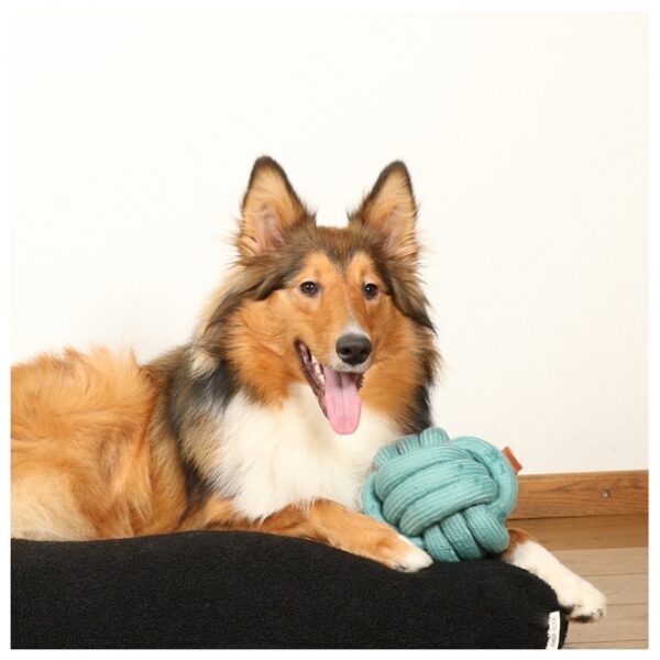 Das Hundespielzeug Skip ist der ideale Knotenball für Ihren vierbeinigen Freund. Hergestellt aus 100 % hochwertiger Baumwolle, überzeugt es durch seine Robustheit und Langlebigkeit. Dieses beliebte Kaumaterial sorgt nicht nur für stundenlangen Spielspaß, sondern fördert auch die Gesundheit von Zähnen und Zahnfleisch. Ob beim Apportieren oder Zerren – der Knotenball in trendigem Blau mit einem Durchmesser von 6 cm ist perfekt für aktive Hunde. Gönnen Sie Ihrem Hund das beste Spielzeug, das Spaß und Gesundheit vereint!