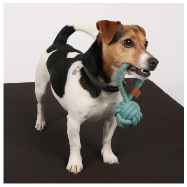Das Hundespielzeug Harper ist der ideale Knotenball mit Griff für stundenlangen Spielspaß. Hergestellt aus 100 % natürlicher Baumwolle, bietet dieses robuste Spielzeug nicht nur langlebige Unterhaltung, sondern sorgt auch für ein gesundes Gebiss und Zahnfleisch bei Ihrem Hund. Der praktische Griff ermöglicht interaktive Apportier- und Zerrspiele zwischen Mensch und Tier, was die Bindung stärkt. Mit einer trendigen blauen Farbe und einer Größe von 18,5 cm in der Länge sowie einem Durchmesser von 6 cm ist dieses Spielzeug nicht nur funktional, sondern auch ansprechend. Investieren Sie in die Gesundheit und das Wohlbefinden Ihres Hundes mit diesem hochwertigen und beliebten Knotenball!