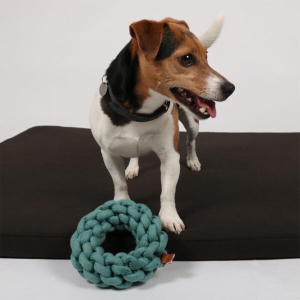 Das Hundespielzeug Ben ist der ideale Knotenring für Ihren vierbeinigen Freund. Hergestellt aus 100 % natürlicher Baumwolle, bietet es eine hohe Qualität und Langlebigkeit, die für stundenlangen Spielspaß sorgt. Dieses robuste Kaumaterial ist nicht nur beliebt bei Hunden, sondern trägt auch zur Gesundheit von Zähnen und Zahnfleisch bei. Ob beim Apportieren oder Zerren, der Knotenring ist perfekt für verschiedene Spielarten und begeistert durch seine trendige blaue Farbe. Mit kompakten Maßen von 13 x 13 x 4,5 cm passt er ideal in jeden Hundehaushalt. Gönnen Sie Ihrem Hund dieses langlebige und gesunde Spielzeug für endlosen Spaß!
