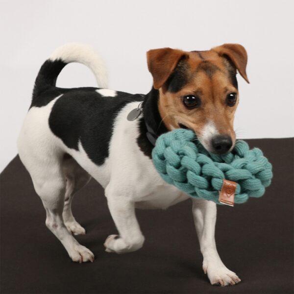Das Hundespielzeug Ben ist der ideale Knotenring für aktive Hunde, hergestellt aus 100 % hochwertiger Baumwolle. Dieses robuste und langlebige Spielzeug sorgt für stundenlangen Spielspaß und ist perfekt für Apportier- und Zerrspiele geeignet. Die natürlichen Baumwollschnüre sind nicht nur beliebt als Kaumaterial, sondern tragen auch zu einem gesunden Gebiss und Zahnfleisch bei. Mit seiner trendigen blauen Farbe und den kompakten Maßen von 19 x 19 x 5 cm ist der Knotenring nicht nur funktional, sondern sieht auch gut aus. Gönnen Sie Ihrem Hund das beste Spielzeug für seine Gesundheit und Freude!