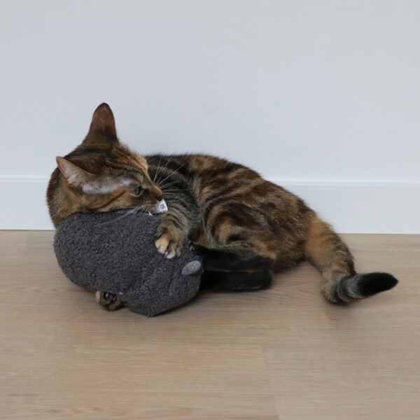Entdecken Sie unser maulwurfförmiges Plüschtier aus hochwertigem Teddystoff und Chenille, das speziell für Katzen entwickelt wurde. Dieses Spielzeug kommt inklusive einer Tüte Katzenminze, die den Jagdinstinkt Ihrer Katze perfekt befriedigt und sie zum Spielen anregt. Der nachfüllbare Beutel mit praktischem Klettverschluss sorgt dafür, dass die Katzenminze immer frisch bleibt. Mit den kompakten Maßen von 13 x 14 x 27 cm und der eleganten Farbe Dunkelgrau ist dieses Spielzeug nicht nur ein Hit bei Ihrem Haustier, sondern auch eine stilvolle Ergänzung für Ihr Zuhause. Gönnen Sie Ihrer Katze das beste Spielzeug für stundenlangen Spaß und Freude!