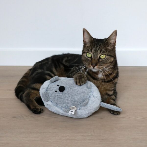 Entdecken Sie unser liebevoll gestaltetes, mausförmiges Stofftier für Katzen, das aus hochwertigem Plüsch und Chenille gefertigt ist. Dieses Spielzeug wird Ihre Katze zum Spielen anregen und gleichzeitig ihren natürlichen Jagdinstinkt befriedigen. Mit einer praktischen, nachfüllbaren Tüte Katzenminze, die im Lieferumfang enthalten ist, sorgt es für zusätzlichen Spaß und Abwechslung. Der Beutel ist mit einem sicheren Klettverschluss ausgestattet, sodass Sie die Katzenminze ganz einfach nachfüllen können. In einem eleganten Hellgrau gehalten und mit den Maßen von 13 x 14 x 33 cm ist dieses Spielzeug nicht nur ein Blickfang, sondern auch ein ideales Geschenk für jede Katze. Gönnen Sie Ihrer Katze das beste Spielzeug für stundenlangen Spielspaß!