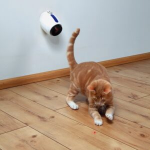 Entdecken Sie den perfekten Spielzeuglaser für Ihre Katze! Dieser aus hochwertigem Kunststoff gefertigte Laserpointer bewegt sich ungleichmäßig hin und her und weckt den natürlichen Jagdinstinkt Ihrer Katze. Mit zwei einstellbaren Spielvarianten sorgt er für stundenlangen Spaß und Beschäftigung. Das Gerät lässt sich einfach am Ring oder mit einem Saugnapf sowie Schrauben befestigen, sodass es sicher an jedem Ort platziert werden kann. Der automatische Ruhemodus nach 5 Minuten schont die Batterien (3 AAA-Micro-Batterien nicht enthalten) und sorgt für eine lange Lebensdauer des Spielzeugs. Mit einer Größe von ca. 11 cm ist dieser Laserpointer ein ideales Spielzeug für Katzenliebhaber, die ihren Haustieren eine unterhaltsame und anregende Erfahrung bieten möchten. Holen Sie sich jetzt diesen hochwertigen Laserpointer und lassen Sie Ihre Katze spielen!