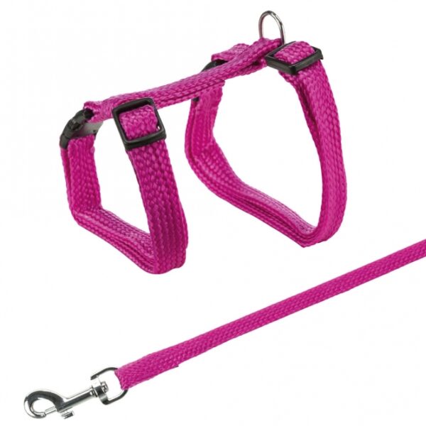 Die hochwertige Katzen-Garnitur ist aus robustem Nylon gefertigt und bietet eine stufenlose Verstellbarkeit für optimalen Komfort. Mit einer praktischen Metallschnalle ausgestattet, passt sie sich perfekt an die Größe Ihres Haustiers an, die von ca. 22 bis 42 cm reicht. Die Leine hat eine Länge von ca. 1,25 m und eine Breite von 10 mm, was sie ideal für entspannte Spaziergänge macht. Diese Garnitur ist in verschiedenen Farben erhältlich – die genaue Farbe wird je nach Lagerbestand ausgewählt. Entscheiden Sie sich für diese praktische und langlebige Katzen-Garnitur, die sowohl Sicherheit als auch Stil vereint!