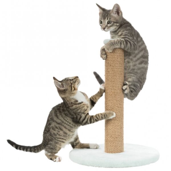 Dieser stilvolle Jute-Plüsch-Hocker in mint ist nicht nur ein echter Blickfang, sondern auch äußerst funktional. Mit einer Höhe von ca. 42 cm und einer stabilen Grundfläche von ca. 30 cm Durchmesser bietet er hohen Sitzkomfort und eine robuste Konstruktion mit einem Stammdurchmesser von ca. 7 cm. Der Plüschbezug aus hochwertigem Polyester (190 g/m²) sorgt für ein angenehmes Sitzgefühl und ist pflegeleicht. Ideal für jedes Zuhause, fügt sich dieser Hocker perfekt in verschiedene Einrichtungsstile ein und ist die beste Wahl für alle, die Wert auf Qualität und Design legen. Machen Sie Ihr Zuhause gemütlicher mit diesem günstigen und vielseitigen Möbelstück!
