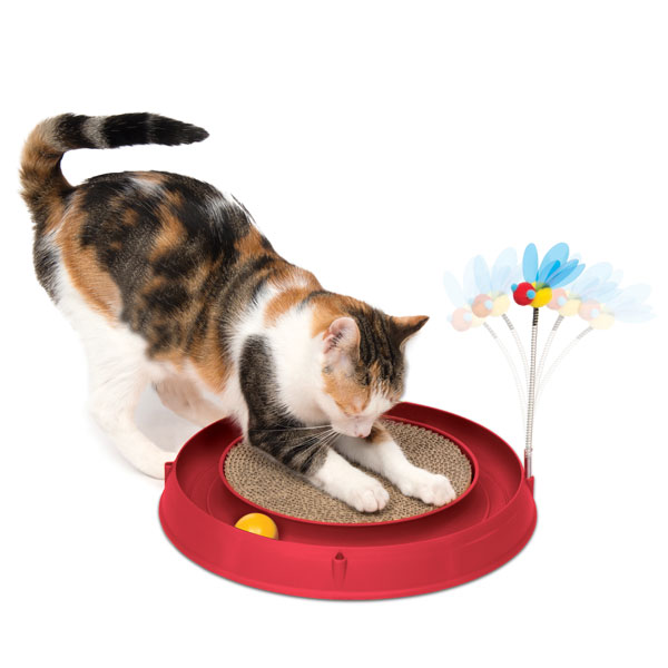 Entdecken Sie das unwiderstehliche Katzenspielzeug, das Ihren Stubentiger stundenlang beschäftigen wird! Dieses hochwertige Spielzeug vereint eine praktische Kratzfläche, eine aufregende Spielschiene und einen beweglichen Ball, sowie ein federndes Bienen-Spielzeug, das für zusätzlichen Spaß sorgt. Mit einer Höhe von ca. 25 cm und den Maßen von ca. 4 x 36,5 x 39 cm ist es perfekt für Katzen jeden Alters. Die auffällige rote Farbe zieht die Aufmerksamkeit Ihrer Katze an und fördert gleichzeitig ihre natürlichen Spielinstinkte. Investieren Sie in dieses günstige und langlebige Katzenspielzeug, um die Lebensqualität Ihrer Katze zu steigern und gleichzeitig ihre Kratzgewohnheiten positiv zu lenken!