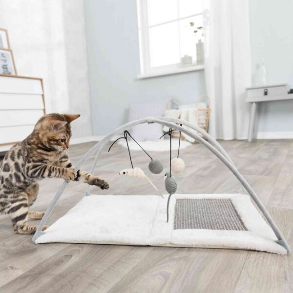 Dieser elegante und praktische Sisal/Plüsch Teppich aus hochwertigem Polyester (240 g/m²) ist die perfekte Wahl für jeden Raum. Mit seinen kompakten Maßen von ca. 60 × 33 × 42 cm lässt er sich mühelos zusammenklappen und verstauen, wodurch er ideal für kleine Wohnungen oder als zusätzlicher Teppich für Gäste ist. Die stilvolle Farbe in lichtgrau fügt sich harmonisch in jede Einrichtung ein und sorgt für ein modernes Ambiente. Gönnen Sie sich diesen vielseitigen Teppich, der sowohl in der Funktionalität als auch im Design überzeugt – für ein angenehmes Wohngefühl zu einem günstigen Preis!