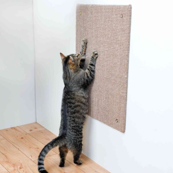 Diese hochwertige Katzenkratzmatte aus Sisal und Fleece (Polyester) ist die ideale Lösung für Katzenliebhaber, die ihre Möbel schützen möchten. Die fleecebezogene Rückseite sorgt dafür, dass empfindliche Wände nicht beschädigt werden, während der Sisal-Bereich speziell dafür entworfen wurde, die Kratzgewohnheiten Ihrer Katze zu unterstützen. Mit den praktischen Maßen von ca. 50 × 70 cm eignet sich diese Matte perfekt zur Wandmontage und schützt gezielt die Bereiche, die Ihre Katze gerne zum Kratzmarkieren nutzt. In einem eleganten Taupe-Ton fügt sich die Matte harmonisch in jede Wohnumgebung ein. Investieren Sie in diese langlebige und stilvolle Katzenkratzmatte, um sowohl Ihre Möbel als auch die Bedürfnisse Ihrer Katze zu berücksichtigen!