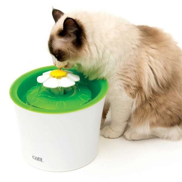 Der Catit Blumentrinkbrunnen ist die ideale Lösung, um Ihre Katze zu ermuntern, mehr zu trinken und damit ihre Gesundheit zu fördern. Regelmäßiges Trinken ist entscheidend für eine optimale Nierenfunktion und hilft, das Risiko von Harnwegserkrankungen zu verringern. Mit drei verschiedenen Wasserfluss-Einstellungen – sanfter Wasserfluss, sprudelndes Wasser und ruhiger Wasserfluss – ist dieser Trinkbrunnen perfekt für wählerische Katzen. Sein kompaktes, ergonomisches Design mit einem großzügigen 3-Liter-Reservoir (Durchmesser ca. 18 cm) benötigt nur wenig Platz und bietet gleichzeitig eine angenehme Oberfläche für die Schnurrhaare Ihrer Katze. Dank des lichtundurchlässigen Reservoirs bleibt das Wasser länger frisch, während die energieeffiziente Pumpe (unter 4 Watt) für leisen Betrieb sorgt. Der integrierte Doppelfunktionsfilter reinigt und enthärtet hartes Leitungswasser, indem er Haare, Sedimente und Verunreinigungen effektiv filtert. Die Reinigung des Catit Blumentrinkbrunnens ist einfach: Zerlegen Sie die Teile und spülen Sie sie mit Neutralseife ab. Kombinieren Sie den Trinkbrunnen mit dem Catit 3-in-1-Napf für ein rundum gelungenes Futter- und Trink-Erlebnis für Ihre Katze!