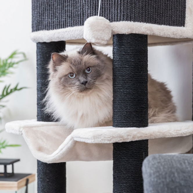 Entdecken Sie den perfekten Katzenbaum, der besonders für große Katzen geeignet ist. Dieser hochwertige Katzenbaum ist mit robustem Jute (ø 5 mm) und weichem Plüsch (Polyester, 280 g/m²) ausgestattet, was für optimalen Komfort und Langlebigkeit sorgt. Die gemütliche Höhle bietet Ihrer Katze einen Rückzugsort und ist komplett mit Plüsch ausgekleidet. Zudem sind zwei Wendekissen (handwaschbar) enthalten, die zusätzlichen Komfort bieten. Mit einer Grundfläche von ca. 46 × 46 cm und einer Höhe von ca. 110 cm ist dieser Katzenbaum ideal für aktive Katzen, die gerne klettern und spielen. Die stabilen Stämme (ø 9 cm) garantieren eine sichere Nutzung. In einem eleganten Lichtgrau fügt sich dieser Katzenbaum harmonisch in jedes Zuhause ein. Gönnen Sie Ihrer Katze den besten Rückzugsort mit diesem stilvollen und funktionalen Katzenbaum!