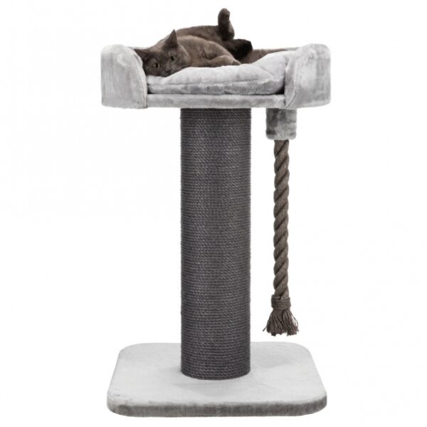 Dieser hochwertige Katzenkratzbaum ist besonders für große Katzen geeignet und bietet ihnen den perfekten Rückzugsort. Der Plüsch-Bezug aus hochwertigem Polyester sorgt für maximalen Komfort, während der Stamm mit extra dickem Natursisal umwickelt ist, um das Kratzen zu fördern und die Krallen gesund zu halten. Das Kuschelbett mit gepolstertem Rand und das befestigte Wendekissen sind ideal zum Entspannen und Spielen. Mit einer stabilen, dicken Bodenplatte und einem extra dicken Spieltau aus Sisal ist dieser Kratzbaum sowohl robust als auch langlebig. Die Grundfläche beträgt ca. 60 x 60 cm, der Stammdurchmesser ca. 20 cm und die Höhe ca. 100 cm. Erhältlich in einem eleganten Grau, vereint dieser Kratzbaum hohe Qualität mit Funktionalität und ist ein Muss für jeden Katzenliebhaber.