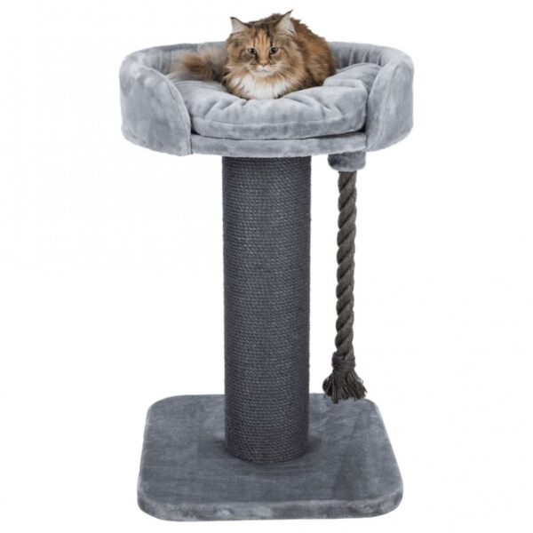 Dieser hochwertige Katzenkratzbaum ist besonders für große Katzen geeignet und bietet ihnen den perfekten Rückzugsort. Der Plüsch-Bezug aus hochwertigem Polyester sorgt für maximalen Komfort, während der Stamm mit extra dickem Natursisal umwickelt ist, um das Kratzen zu fördern und die Krallen gesund zu halten. Das Kuschelbett mit gepolstertem Rand und das befestigte Wendekissen sind ideal zum Entspannen und Spielen. Mit einer stabilen, dicken Bodenplatte und einem extra dicken Spieltau aus Sisal ist dieser Kratzbaum sowohl robust als auch langlebig. Die Grundfläche beträgt ca. 60 x 60 cm, der Stammdurchmesser ca. 20 cm und die Höhe ca. 100 cm. Erhältlich in einem eleganten Grau, vereint dieser Kratzbaum hohe Qualität mit Funktionalität und ist ein Muss für jeden Katzenliebhaber.