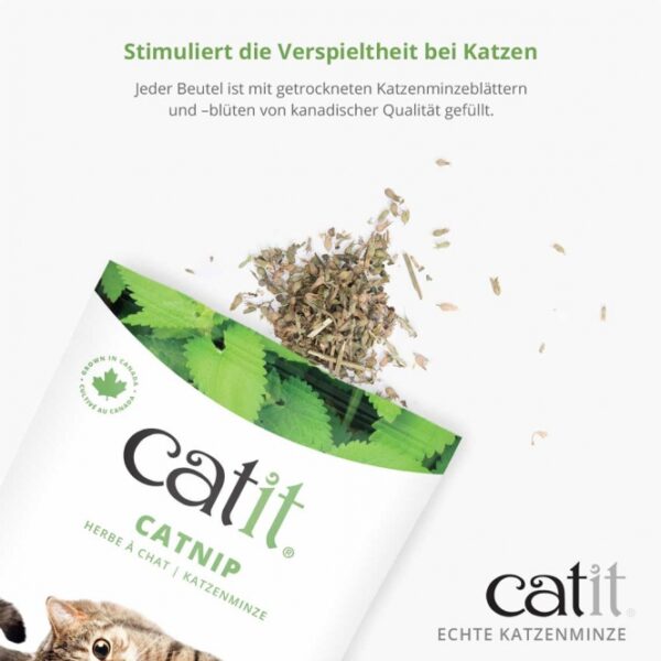 Catit Echte kanadische Katzenminze - 14g – Bild 2