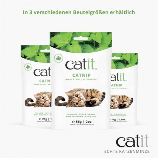 Catit Echte kanadische Katzenminze - 14g – Bild 4
