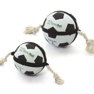 Entdecken Sie den KARLIE ACTION BALL – die innovative Weltneuheit für Hund und Halter! Dieser von Hundetrainern empfohlene und weltweit patentierte Spielball fördert das gemeinsame Spiel und die Interaktion zwischen Mensch und Tier über Stunden voller Spaß. Die artgerechte Konstruktion sorgt dafür, dass jeder Hund den Ball sicher und fest greifen kann, während die benutzerfreundliche Form es auch dem Hunde-Besitzer ermöglicht, jederzeit schnell zuzugreifen. Mit einem Durchmesser von ca. 19 cm ist dieser hochwertige Action Ball das ideale Spielzeug für alle Hunderassen. Bringen Sie Freude und Bewegung in den Alltag Ihres Hundes mit diesem einzigartigen Spielzeug!