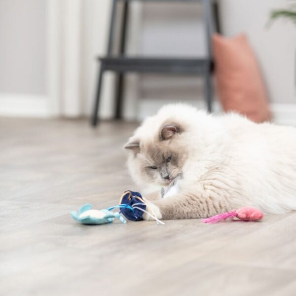 Dieser hochwertige Plüschspielzeug für Katzen besteht aus strapazierfähigem Polyester und ist mit einer aufregenden Raschelfolie ausgestattet, die das Spielvergnügen Ihrer Katze steigert. Mit einer handlichen Größe von 5–8 cm ist es perfekt für kleine Katzen und Kätzchen geeignet. Zudem enthält das Spielzeug Catnip, das die natürliche Neugier und den Spieltrieb Ihrer Katze anregt. Bitte beachten Sie, dass eine Motivwahl aufgrund des Lagerbestands nicht möglich ist – jede Lieferung ist eine Überraschung! Gönnen Sie Ihrer Katze dieses tolle Spielzeug und fördern Sie ihr Wohlbefinden mit einem Produkt von hoher Qualität zu einem günstigen Preis.