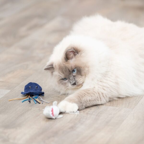 Dieser hochwertige Plüschspielzeug für Katzen besteht aus strapazierfähigem Polyester und ist mit einer aufregenden Raschelfolie ausgestattet, die das Spielvergnügen Ihrer Katze steigert. Mit einer handlichen Größe von 5–8 cm ist es perfekt für kleine Katzen und Kätzchen geeignet. Zudem enthält das Spielzeug Catnip, das die natürliche Neugier und den Spieltrieb Ihrer Katze anregt. Bitte beachten Sie, dass eine Motivwahl aufgrund des Lagerbestands nicht möglich ist – jede Lieferung ist eine Überraschung! Gönnen Sie Ihrer Katze dieses tolle Spielzeug und fördern Sie ihr Wohlbefinden mit einem Produkt von hoher Qualität zu einem günstigen Preis.