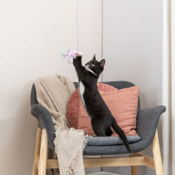 Dieser hochwertige Plüschspielzeug für Katzen besteht aus langlebigem Polyester und Holz und ist mit Catnip gefüllt, um das Spielvergnügen Ihrer Katze zu maximieren. Mit einer Länge von ca. 40 cm ist dieses Spielzeug ideal für Katzen jeden Alters, die ihre natürlichen Jagdinstinkte ausleben möchten. Das weiche Material sorgt für ein angenehmes Spielgefühl und fördert die aktive Beschäftigung Ihrer Katze. Gönnen Sie Ihrem Haustier dieses attraktive und qualitativ hochwertige Spielzeug – der perfekte Begleiter für stundenlangen Spielspaß!