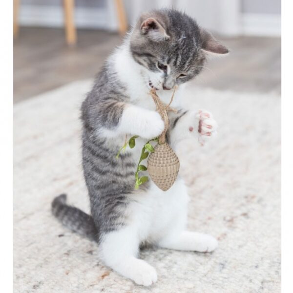 Entdecken Sie unser nachhaltiges Katzenspielzeug aus hochwertiger Pappe und robustem Hanf. Mit einer Größe von ca. 13 cm ist dieses umweltfreundliche Spielzeug perfekt für Katzen aller Größen geeignet und sorgt für stundenlangen Spielspaß. Das natürliche Material fördert nicht nur das Spielverhalten Ihrer Katze, sondern ist auch eine gesunde und sichere Wahl für Ihr Haustier. Setzen Sie auf Qualität und Nachhaltigkeit – das ideale Spielzeug für umweltbewusste Katzenliebhaber!