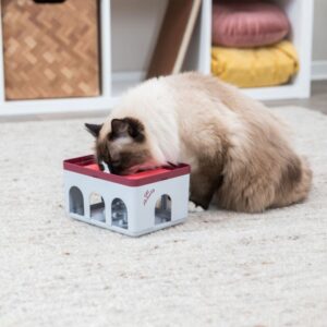 Entdecken Sie den perfekten Spielkasten für Ihre Katze! Dieser innovative Spielkasten mit zwei Ebenen ist ideal für Katzen ab 3 Monaten und sorgt für stundenlangen Spielspaß. Dank der rutschfesten Gummifüße bleibt er sicher an seinem Platz, während Ihre Katze herumtollt. Hergestellt aus hochwertigem Kunststoff, ist der Spielkasten nicht nur langlebig, sondern auch spülmaschinenfest, was die Reinigung zum Kinderspiel macht. Mit den kompakten Maßen von ca. 20 × 12 × 16 cm passt er in jede Wohnung. Zusätzlich erhalten Sie eine praktische Trainingsanleitung, die Ihnen hilft, das Beste aus diesem Spielzeug herauszuholen. Gönnen Sie Ihrer Katze das Beste – ein Spielkasten, der Spaß und Sicherheit vereint!