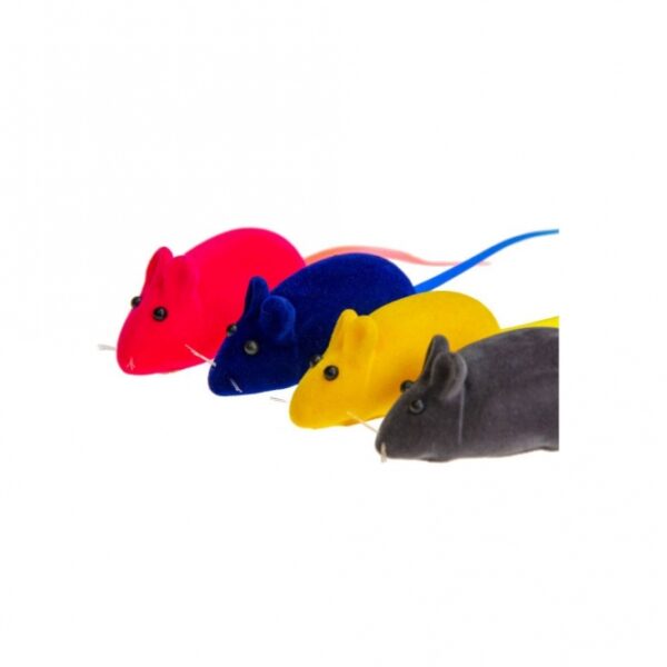 Entdecken Sie unsere lustige Maus mit Squeeker und Catnip – das perfekte Spielzeug für Ihre Katze! Mit einer Größe von ca. 6 x 3 cm ist diese hochwertige Maus ideal für kleine Pfoten und sorgt für stundenlangen Spielspaß. Das integrierte Catnip regt die Sinne Ihrer Katze an und fördert aktives Spielen, während der Squeeker für zusätzliche Unterhaltung sorgt. Sie erhalten 1 Stück in einer der verschiedenen Farben, wobei die Farbwahl aufgrund des Lagerbestands zufällig erfolgt. Holen Sie sich jetzt dieses günstige und unterhaltsame Katzenspielzeug, das für Freude und Bewegung sorgt!