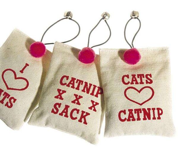 Entdecken Sie unser bezauberndes Katzenspielzeug mit CATNIP-Duftstoff, das speziell für Katzenliebhaber entwickelt wurde. Mit einer Größe von ca. 10 cm und gefertigt aus hochwertigem Leinen, bietet es nicht nur eine ansprechende Optik, sondern auch ein angenehmes Spielvergnügen für Ihre Katze. Das integrierte Glöckchen sorgt für zusätzlichen Spaß und stimuliert den natürlichen Spieltrieb Ihrer Katze. Bitte beachten Sie, dass die Motivwahl aufgrund des Lagerbestands nicht möglich ist – jedes Stück ist ein Unikat! Gönnen Sie Ihrer Katze dieses hochwertige Spielzeug und fördern Sie ihre Aktivität und Freude.