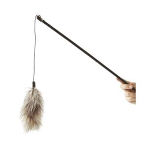 Entdecken Sie die Spielangel mit Federboa – der perfekte Spielspaß für kleine und große Katzen! Mit einer Länge von ca. 60 cm sorgt dieses hochwertige Katzenspielzeug für stundenlange Unterhaltung und fördert die natürliche Jagdinstinkte Ihrer Katze. Die bunten Federn und die ansprechende Gestaltung machen die Spielangel besonders attraktiv und laden zum Spielen ein. Bitte beachten Sie, dass die Farbe von der Abbildung abweichen kann. Gönnen Sie Ihrer Katze dieses günstige und langlebige Spielzeug für mehr Freude und Bewegung im Alltag!