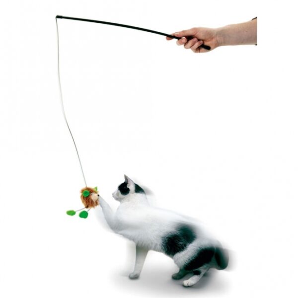 Entdecken Sie die tolle Katzenangel mit Igel, die das Spielvergnügen Ihrer Katze auf ein neues Level hebt! Mit einer Länge von ca. 50 cm ist diese Katzenangel ideal für aktive Spiele und fördert die Beweglichkeit Ihres Lieblings. Die Katzenangel ist in verschiedenen Farben erhältlich, wobei die genaue Farbwahl je nach Lagerbestand variiert. Diese hochwertige Katzenangel bietet nicht nur Spaß, sondern stärkt auch die Bindung zwischen Ihnen und Ihrer Katze. Gönnen Sie Ihrem Haustier das beste Spielzeug für stundenlangen Spaß und Unterhaltung!