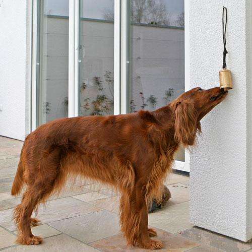 Die perfekte Lösung für Ihren Hund, um sich leise und ohne störendes Bellen bemerkbar zu machen! Dieses praktische Set enthält zwei hochwertige Glocken: eine Indoor-Glocke, die einfach mit einem Naturseil im Haus angebracht wird, und eine wetterbeständige Outdoor-Glocke, die mit einem robusten Nylonseil im Freien befestigt wird. Mit ein wenig Training lernt Ihr Hund schnell, die Glocken zu benutzen, um Ihnen mitzuteilen, ob er nach draußen oder drinnen möchte. Besonders für Welpen ist dieses System ideal, da es eine positive Verbindung zur Stubenreinheit fördert. Entwickelt und getestet von erfahrenen Hundetrainern und Tierärzten, kommt das Set inklusive einer leicht verständlichen Trainingsanleitung – für eine stressfreie Kommunikation mit Ihrem vierbeinigen Freund!