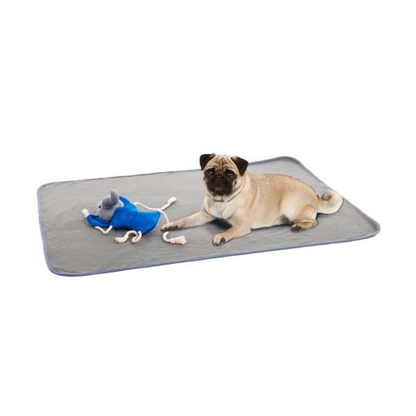 Entdecken Sie das 2in1 - Plüsch Play & Sleep Set, das Ihr Hund für unterwegs benötigt! Dieses originelle Set kombiniert ein hochwertiges Plüschspielzeug und eine praktische Liegedecke, die beide einzeln verwendet werden können. Der Plüschelefant mit einer grauen Liegedecke ist nicht nur niedlich, sondern auch mit einem Squeeker und Baumwollseilen ausgestattet, die das Spielzeug besonders interessant machen. Die Liegedecke misst ca. 70 x 100 cm und das Plüschtier hat eine Größe von ca. 20 cm. Zudem ist das gesamte Set bei 30°C waschbar, was die Pflege kinderleicht macht. Gönnen Sie Ihrem Hund dieses hochwertige und praktische Spielzeug für stundenlangen Spielspaß und erholsame Ruhepausen!