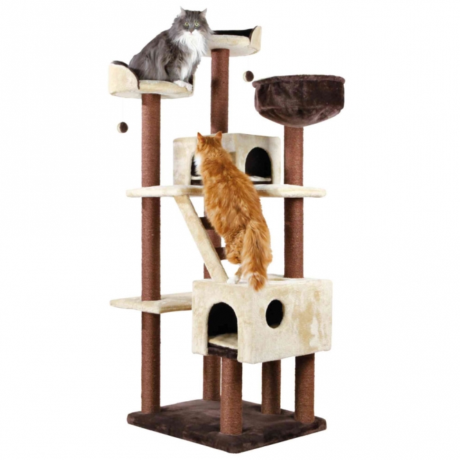 Dieser hochwertige Katzenbaum bietet Ihrer Katze den perfekten Rückzugsort und Spielplatz zugleich. Mit einem stabilen Sisalstamm von ca. 9 cm Durchmesser und einer Höhe von ca. 190 cm ist er ideal für Katzen aller Größen. Die gepolsterten Liegeflächen und der kuschelige Sack aus weichem Plüsch (Polyester) sorgen für ultimativen Komfort. Die Wendekissen sind handwaschbar und ermöglichen eine einfache Pflege. Mit einer Grundfläche von ca. 70 × 61 cm passt dieser Katzenbaum perfekt in jede Wohnung und ist in einem eleganten beige-braun gehalten. Investieren Sie in diesen Katzenbaum von hoher Qualität, um das Wohlbefinden Ihrer Katze zu fördern und gleichzeitig stilvolle Akzente in Ihrem Zuhause zu setzen.