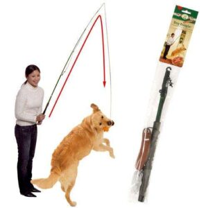 Entdecken Sie die vielseitige Trainingsangel für Hunde, die mit einem hochwertigen Latex-Spielzeug ausgestattet ist! Dieses ideale Spielzeug für drinnen und draußen vereint Spiel und Training in einem Produkt. Es fördert den natürlichen Instinkt, die Konzentration und die Schnelligkeit Ihres Hundes und unterstützt gleichzeitig wichtige Ausbildungskommandos wie 'Steh', 'Bleib' und 'Schluss'. Besonders geeignet ist es auch für Welpen, die spielerisch lernen möchten! Die verstellbare Länge von ca. 49 bis 165 cm sorgt für flexibles Training und Spielspaß. Bitte beachten Sie, dass die Motivwahl des Latex-Spielzeuges je nach Lagerbestand erfolgt. Holen Sie sich jetzt dieses praktische Trainingsgerät für Ihren vierbeinigen Freund!