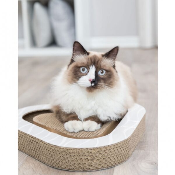 Dieser hochwertige Katzen-Spielzeugball mit 2 Spielbällen aus robustem Kunststoff sorgt für stundenlangen Spaß für Ihre Katze. Die integrierte Catnip-Füllung zieht die Neugier Ihrer Katze an und fördert aktives Spielen und Bewegung. Mit den kompakten Maßen von ca. 36 × 5 × 36/36 cm passt das Spielzeug ideal in jede Wohnung und ist perfekt für Katzen aller Größen. Die elegante graue Farbe fügt sich harmonisch in Ihre Einrichtung ein. Investieren Sie in dieses günstige und langlebige Katzen-Spielzeug, um das Wohlbefinden Ihrer Katze zu steigern und ihr Spielvergnügen zu maximieren!