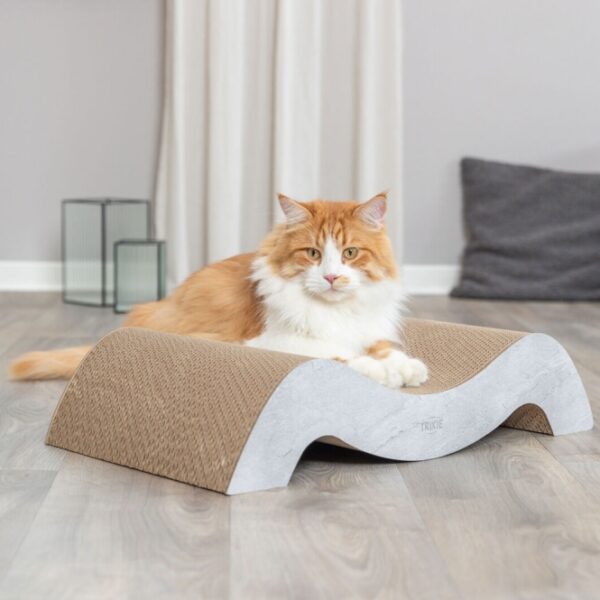Dieses hochwertige Katzenbett ist besonders für große Katzen geeignet und bietet optimalen Komfort und Entspannung. Mit einem integrierten Catnip-Kissen sorgt es für zusätzlichen Spielspaß und Anziehungskraft, sodass Ihre Katze sich rundum wohlfühlt. Die großzügigen Maße von 64 × 14 × 37 cm bieten genügend Platz zum Ausstrecken und Relaxen. In einem eleganten Grau fügt sich das Katzenbett harmonisch in jede Wohnungseinrichtung ein. Investieren Sie in das beste Schlaf- und Spielvergnügen für Ihre Katze und wählen Sie Qualität, die begeistert!