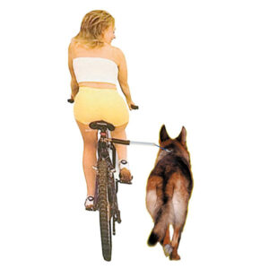 Erleben Sie ein sicheres und entspanntes Fahrradfahren mit Ihrem Hund dank dem Walky Dog Fahrradhalter. Dieser innovative Metall-Abstandhalter sorgt dafür, dass Sie beide Hände am Lenker haben und Ihr Vierbeiner sicher in einem Abstand bleibt. Mit dem patentierten Verschluss können Sie den Walky Dog in Sekundenschnelle vom Fahrrad lösen und als Leine nutzen – ideal, um Ihren Hund sofort unter Kontrolle zu bringen, wenn Sie anhalten. Die drei integrierten Druckfedern gleichen plötzliche Bewegungen aus und sorgen für eine angenehme Fahrt. Die Federstärke lässt sich individuell anpassen, indem Sie einzelne Federn entfernen. Der Walky Dog ist universell einsetzbar und passt an alle gängigen Fahrradtypen sowie Rollstühle. Die kinderleichte Montage ist auch ohne Vorkenntnisse in wenigen Minuten erledigt. Bitte beachten Sie, dass der Walky Dog nur von Erwachsenen mit einem Körpergewicht von über 40 kg verwendet werden sollte, und der Fahrer mindestens 20 kg schwerer sein muss als der Hund. Vermeiden Sie die Nutzung, wenn Sie zusätzlich ein Kind auf dem Fahrrad transportieren.