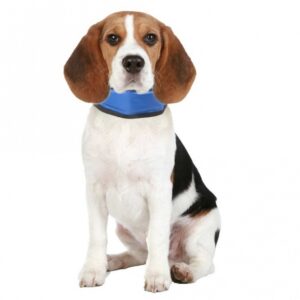 Entdecken Sie unser praktisches Kühlhalsband, das ohne Wasser und Kühlung funktioniert – ein absolutes Must-Have für den Sommer! Diese innovative Kühlbandana sorgt schnell für angenehme Abkühlung, dank ihrer ungiftigen und weichen Gelfüllung. Wenn die Kühlwirkung nachlässt, legen Sie das Kühlhalsband einfach an einen kühlen Ort, wie in den Schatten oder auf einen Fliesenboden, und es erholt sich in kurzer Zeit, um Ihnen erneut frische Kühle zu bieten. Mit einer Temperatur von 3 - 4°C unter Ihrer Körpertemperatur ist die Bandana nicht nur wiederverwendbar, sondern auch sofort einsatzbereit, ganz ohne Kühlschrank! Das spezielle Cooling Gel aktiviert sich bei Druck und kühlt nach dem Abnehmen innerhalb von ca. 15 Minuten wieder ab. Die Größe M hat eine verstellbare Länge von 25 bis 45 cm, sodass sie perfekt sitzt. Holen Sie sich jetzt die ideale Lösung für heiße Sommertage – für mehr Komfort und Wohlbefinden!