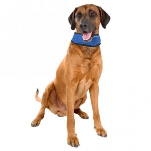 Entdecken Sie unser innovatives Kühlhalsband ohne Wasser und Kühlung – ein unverzichtbares Accessoire für heiße Sommertage! Diese praktische Kühlbandana sorgt schnell für eine angenehme Abkühlung dank ihrer ungiftigen Gelfüllung, die sich weich anfühlt. Wenn die Kühlwirkung nachlässt, legen Sie das Kühlhalsband einfach an einen kühlen Ort, wie in den Schatten oder auf einen Fliesenboden, und es erholt sich in kürzester Zeit für eine erneute Anwendung. Mit einer Temperatur von 3 - 4°C unter Ihrer Körpertemperatur bietet die Bandana eine effektive Kühlung, die beliebig oft wiederverwendbar und sofort einsatzbereit ist. Das spezielle Cooling Gel aktiviert sich bei Druck und benötigt keinen Kühlschrank. Nach dem Tragen wird das Gel bereits nach ca. 15 Minuten wieder kalt. Die Größe L des Kühlhalsbands hat eine verstellbare Länge von ca. 45 bis 65 cm, sodass es für jeden bequem passt. Holen Sie sich jetzt Ihr Kühlhalsband für den Sommer und genießen Sie die erfrischende Kühle!