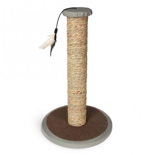 Die Kratzsäule ROFRA ist die ideale Wahl für Katzenliebhaber, die ihren Haustieren einen hochwertigen Kratzplatz bieten möchten. Hergestellt aus rein natürlichem Seegras, überzeugt diese Kratzsäule durch ihre robuste, runde Bodenplatte, die für Stabilität sorgt. Ein besonderes Highlight ist die integrierte Feder, die an einem Gummiband befestigt ist und zum Spielen einlädt – so bleibt Ihre Katze aktiv und glücklich. Mit ihrem natürlichen Design fügt sich die Kratzsäule perfekt in jede Wohnungseinrichtung ein und ist somit nicht nur funktional, sondern auch ein schöner Blickfang. Die kompakten Maße von ca. 30 x 30 x 49 cm machen sie zu einer platzsparenden Lösung für jede Wohnung. Investieren Sie in die Gesundheit und das Wohlbefinden Ihrer Katze mit der Kratzsäule ROFRA – eine Kombination aus Spaß, Qualität und Stil!