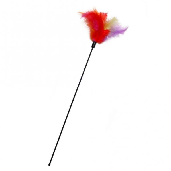 Entfesseln Sie den Spielspaß mit unserem hochwertigen Katzenwedel mit bunten Federn! Dieser ca. 45 cm lange Katzen-Spielzeug ist perfekt, um den natürlichen Jagdinstinkt Ihrer Katze zu wecken. Die flauschigen, multicolor Federn sorgen für stundenlange Interaktion und Freude zwischen Ihnen und Ihrer Samtpfote. Ideal für aktive Katzen, die gerne spielen und beschäftigt werden möchten. Gönnen Sie Ihrer Katze dieses tolle Spielzeug und erleben Sie, wie sie voller Begeisterung tobt!