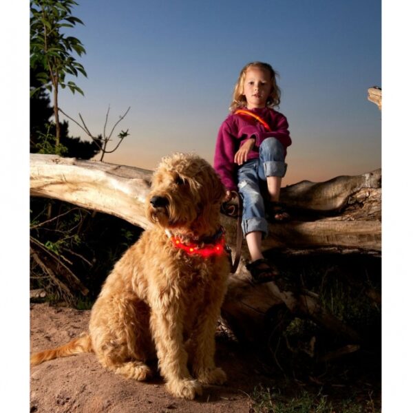 Der Visio Light LED-Schlauch sorgt dafür, dass Ihr Hund bis zu einer Entfernung von etwa 500 Metern sichtbar ist – ideal für nächtliche Spaziergänge. Dieser innovative Leuchtschlauch benötigt keine teuren Batterien, sondern ist mit einem praktischen, wiederaufladbaren Li-Ion Akku ausgestattet, der einfach über das mitgelieferte USB-Kabel aufgeladen werden kann, zum Beispiel am Computer. Der spritzwassergeschützte und CE-konforme LED-Leuchtschlauch lässt sich auf Blink- oder Dauerlicht einstellen und ist somit äußerst vielseitig einsetzbar. Mit einer universellen Kürzbarkeit passt er für Halsweiten von 20 bis 70 cm und bietet so eine perfekte Anpassung für jeden Hund. Erhältlich in einem auffälligen violett-pink gestreiften Design, ist dieser Leuchtschlauch nicht nur ein praktisches, sondern auch ein stylisches Accessoire für Ihren vierbeinigen Freund.